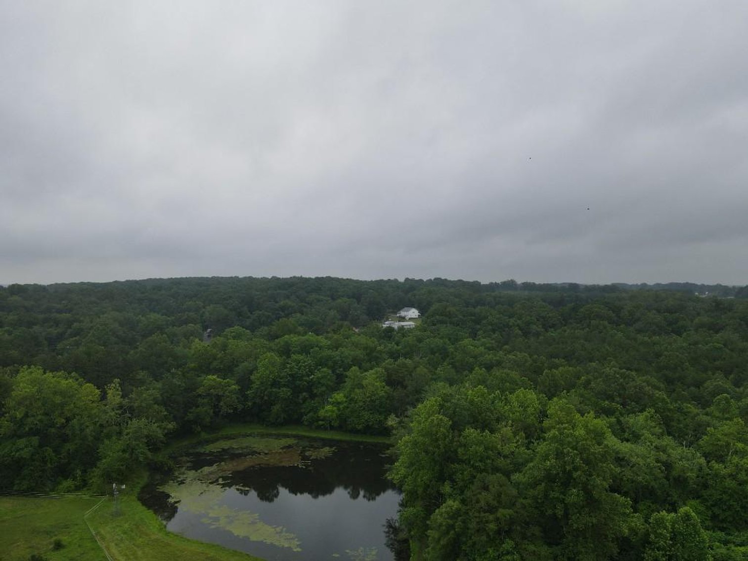 Image for Bonterra Horse Farms Real Estate  Liquidation