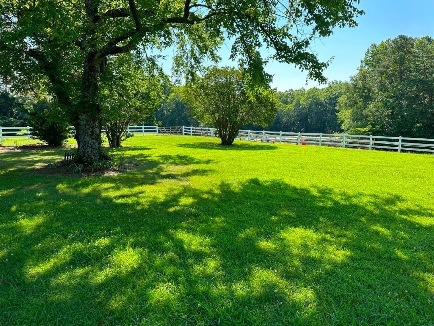 Image for Bonterra Horse Farms Real Estate  Liquidation