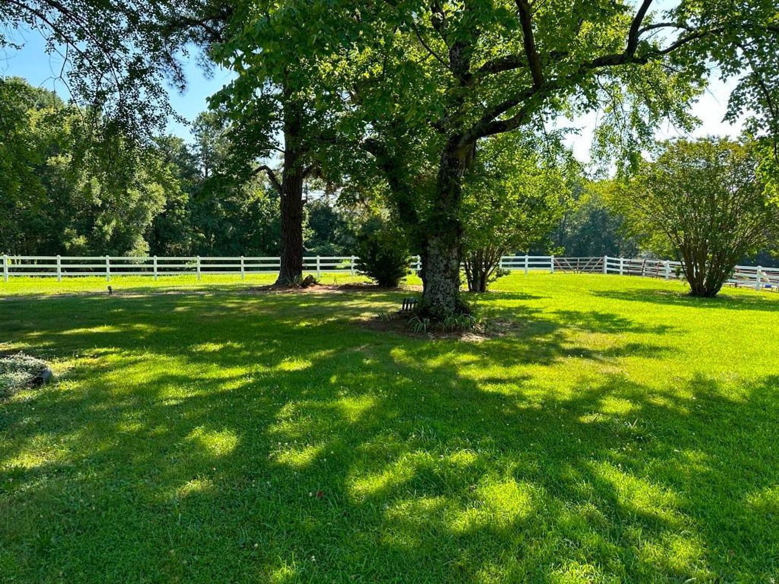 Image for Bonterra Horse Farms Real Estate  Liquidation