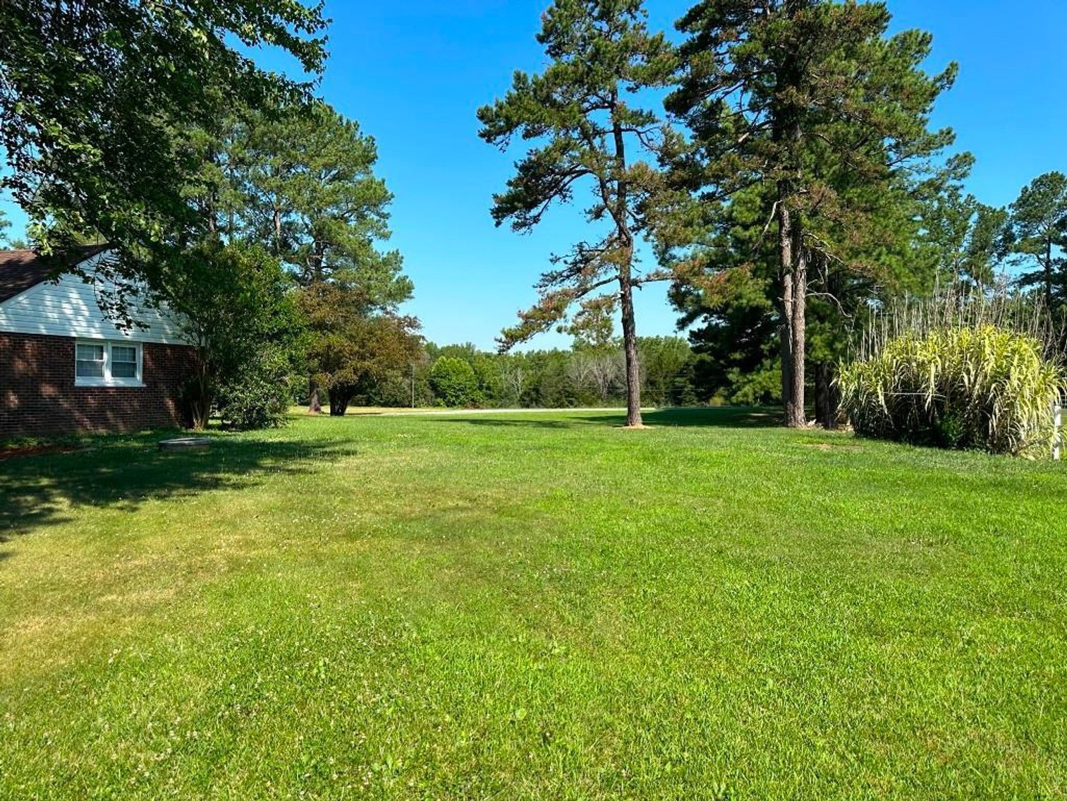 Image for Bonterra Horse Farms Real Estate  Liquidation