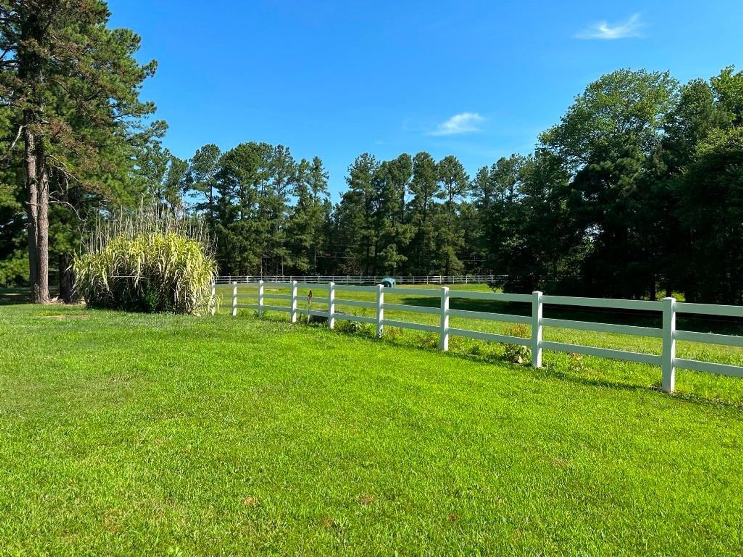 Image for Bonterra Horse Farms Real Estate  Liquidation