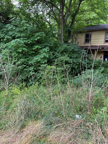 Image for INVESTMENT PROPERTY 17TH STREET LYNCHBURG VA