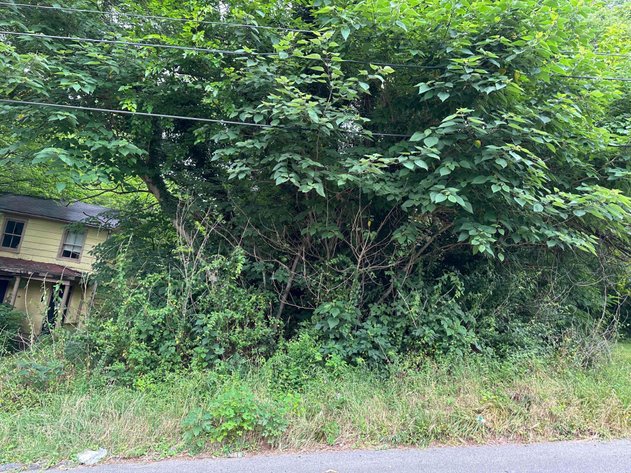 Image for INVESTMENT PROPERTY 17TH STREET LYNCHBURG VA