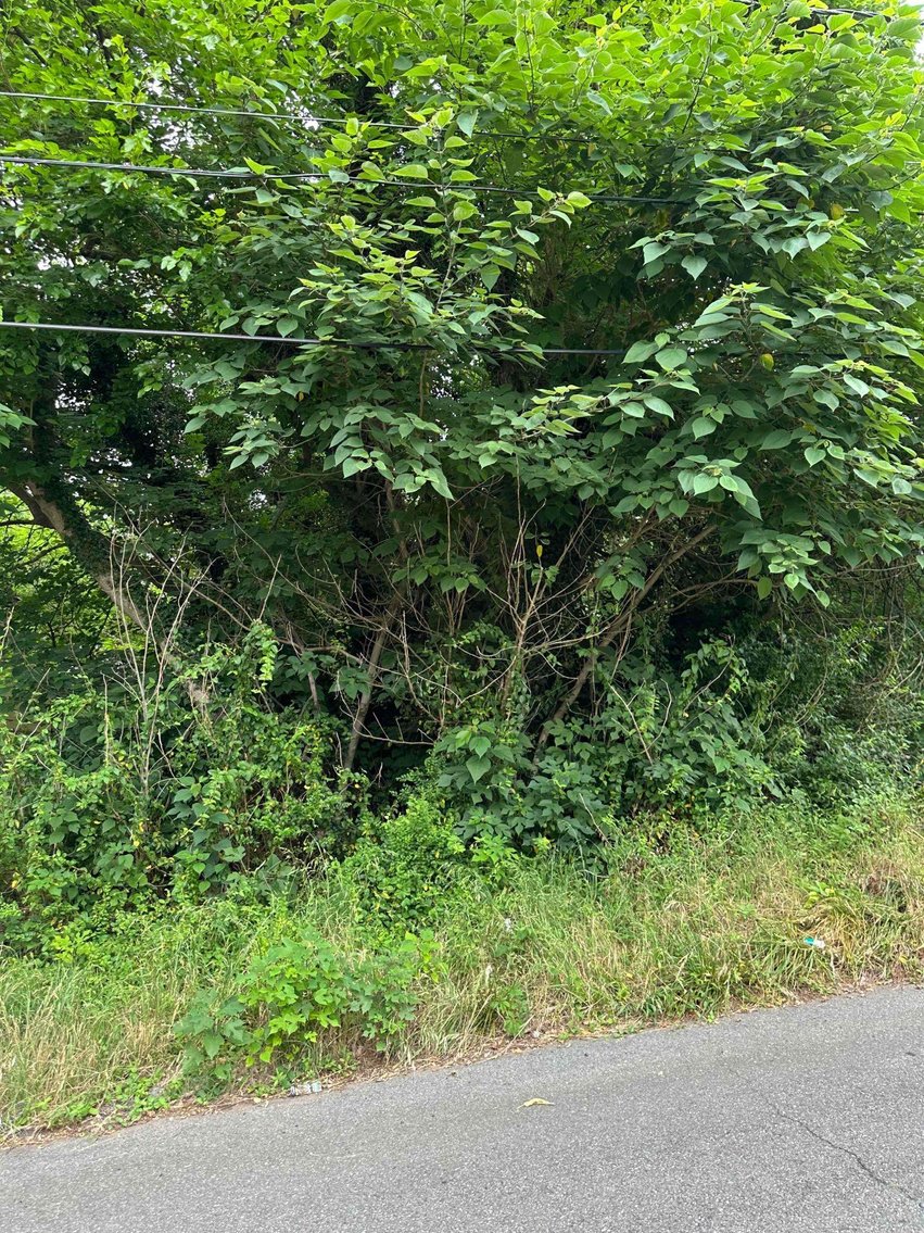 Image for INVESTMENT PROPERTY 17TH STREET LYNCHBURG VA