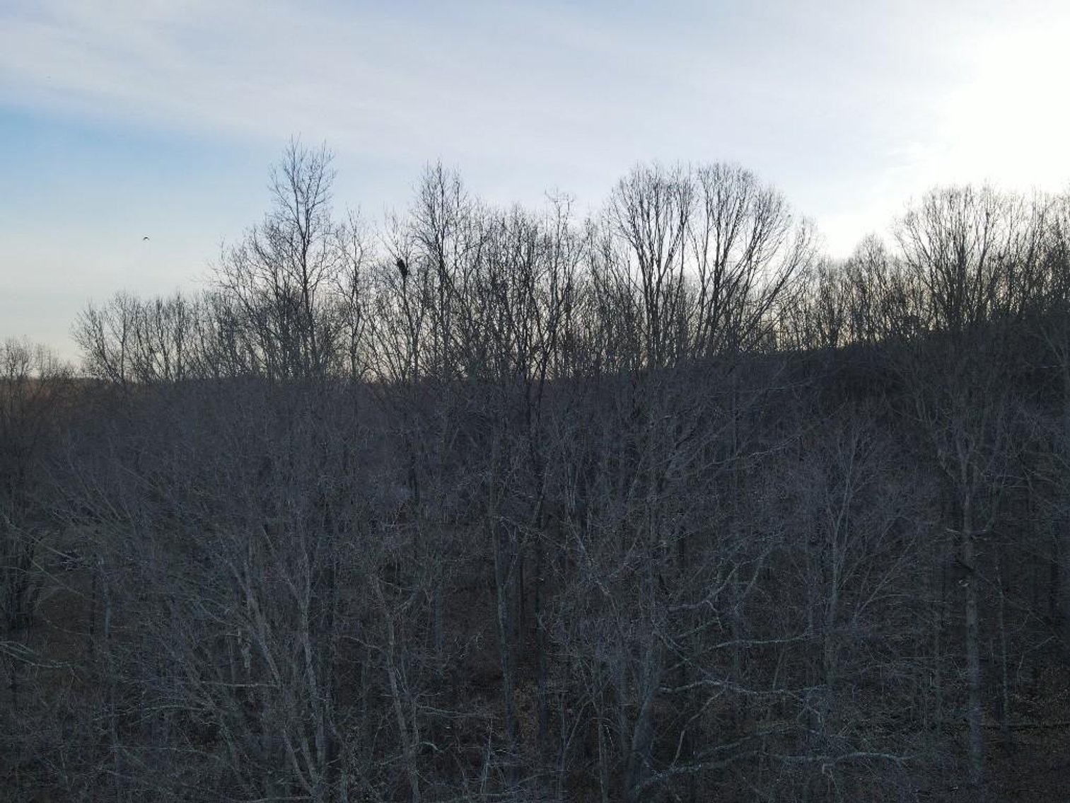 Image for Dream Home on 7.76 Acres Victoria Lane Rustburg