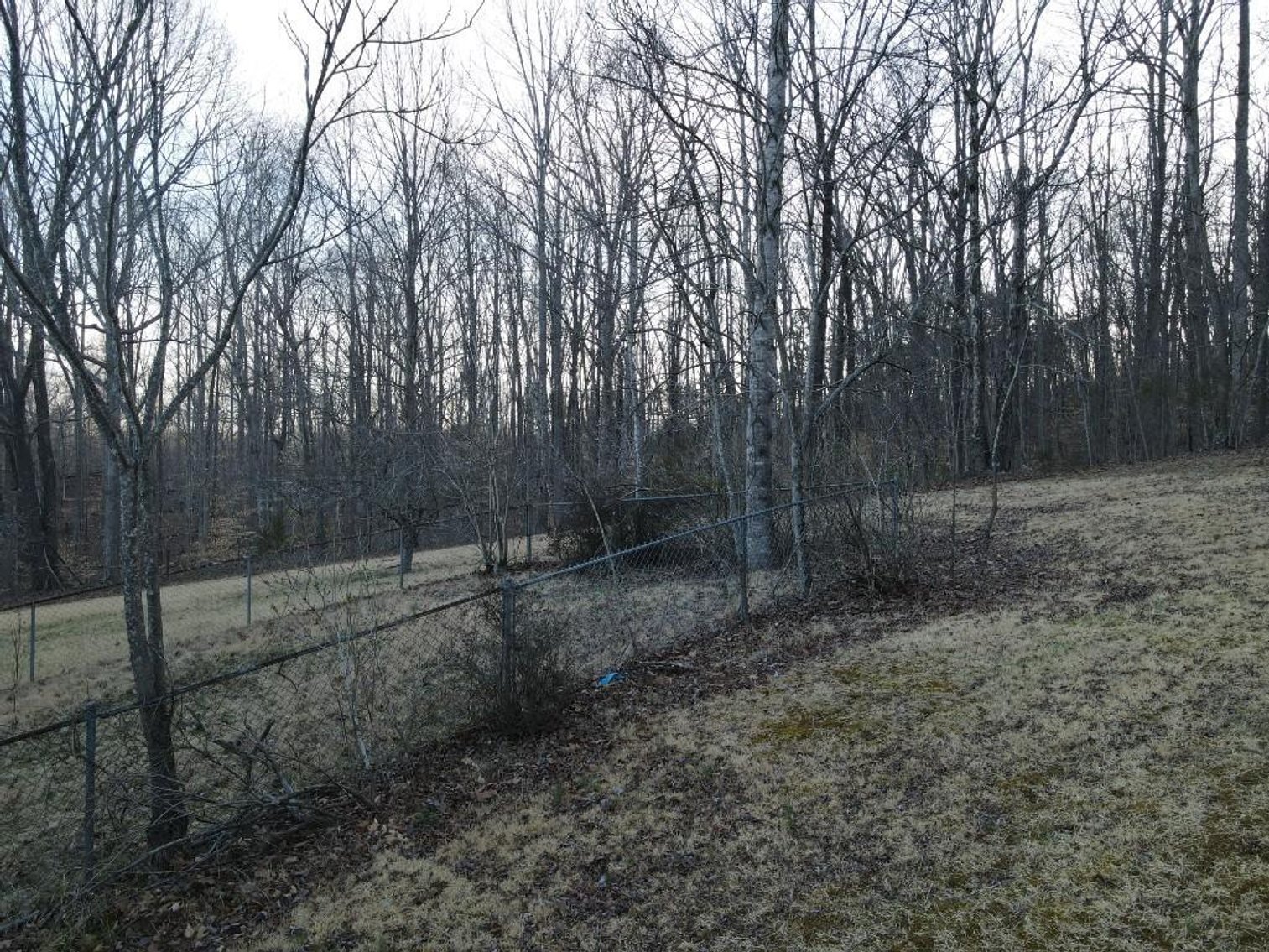 Image for Dream Home on 7.76 Acres Victoria Lane Rustburg