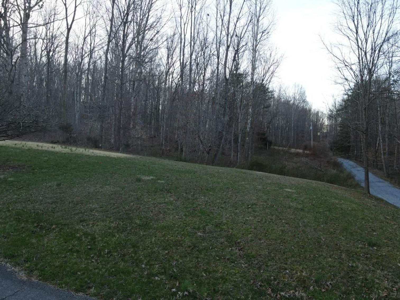 Image for Dream Home on 7.76 Acres Victoria Lane Rustburg