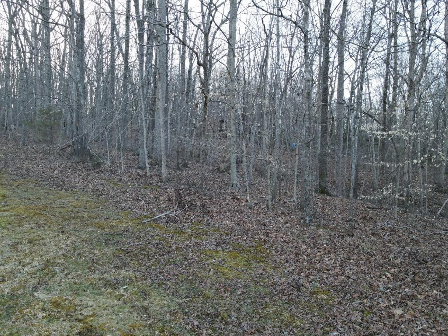 Image for Dream Home on 7.76 Acres Victoria Lane Rustburg