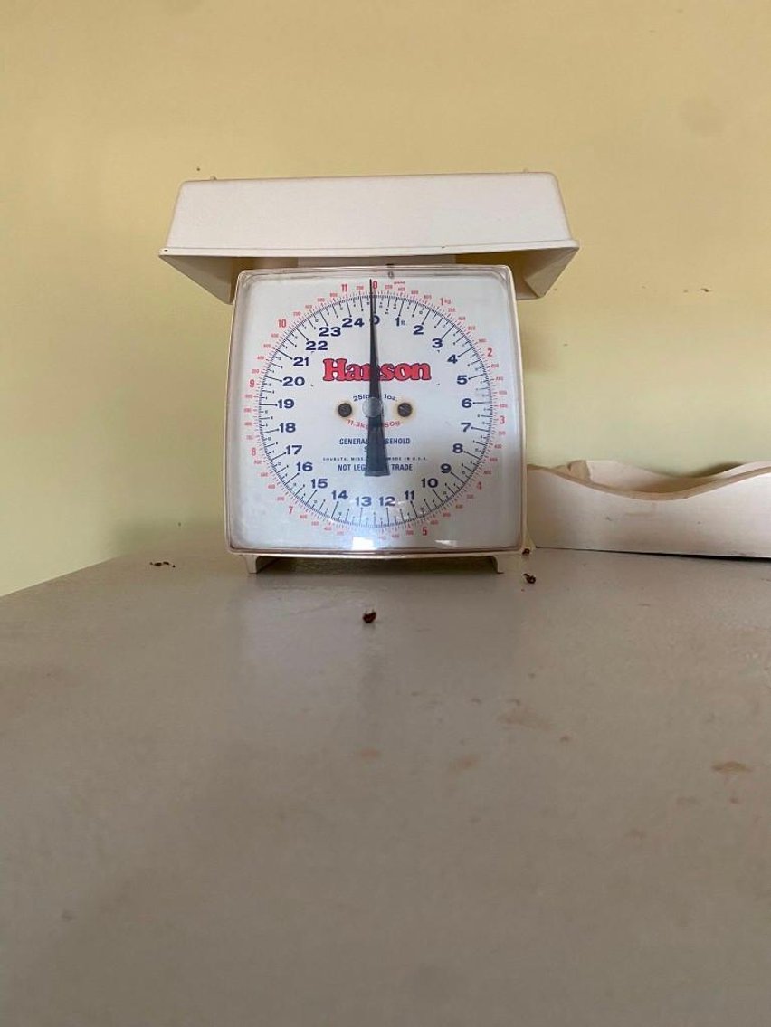 Image for THE LIVING ESTATE OF HEIDI H. FILEP