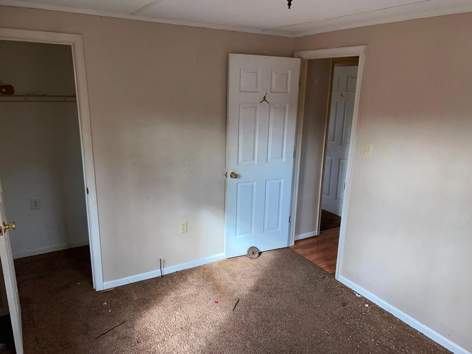 Image for DOUBLEWIDE ON 32 +/- ACRES BUCKINGHAM