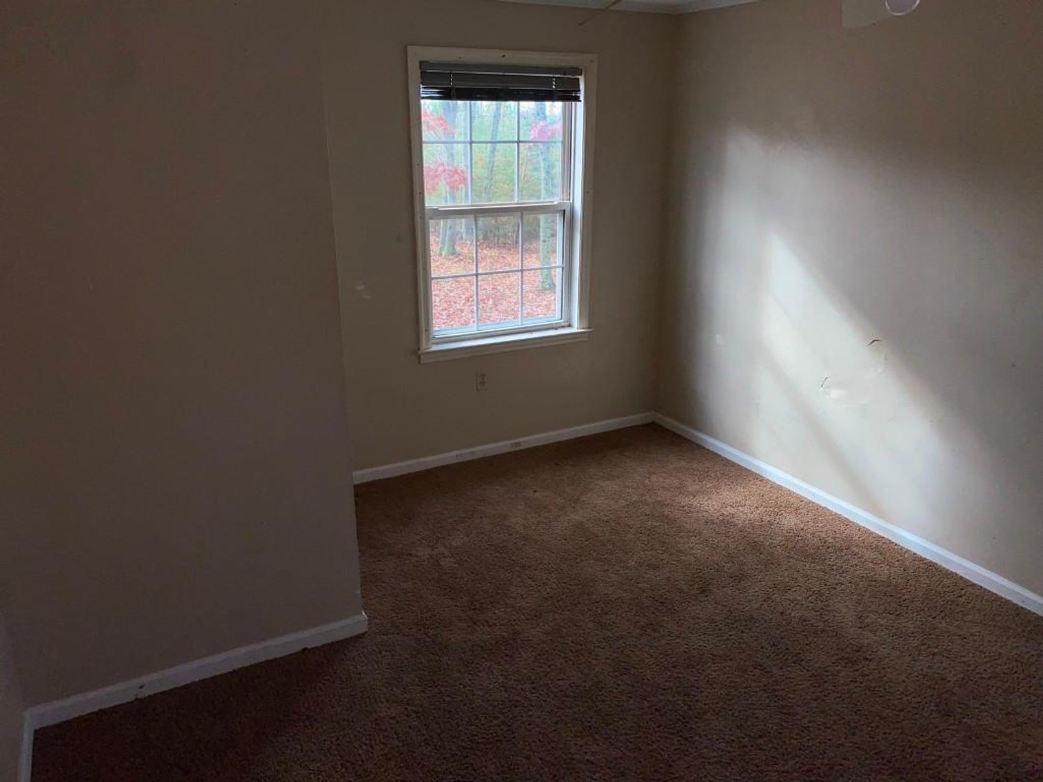 Image for DOUBLEWIDE ON 32 +/- ACRES BUCKINGHAM