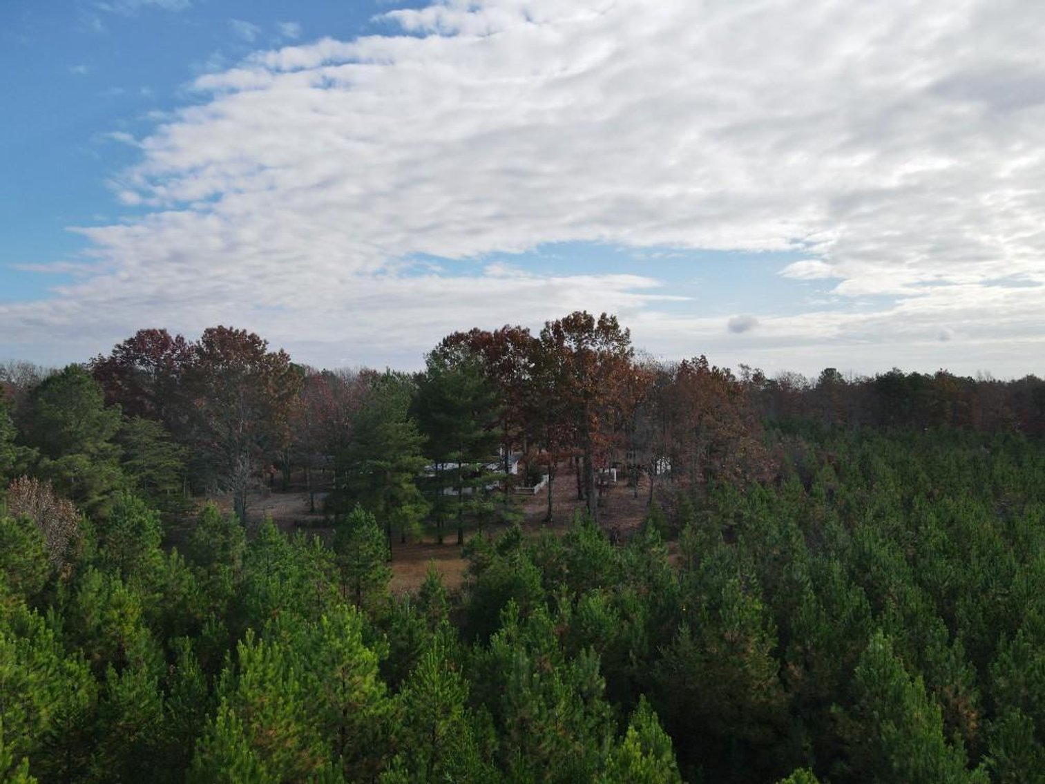 Image for DOUBLEWIDE ON 32 +/- ACRES BUCKINGHAM