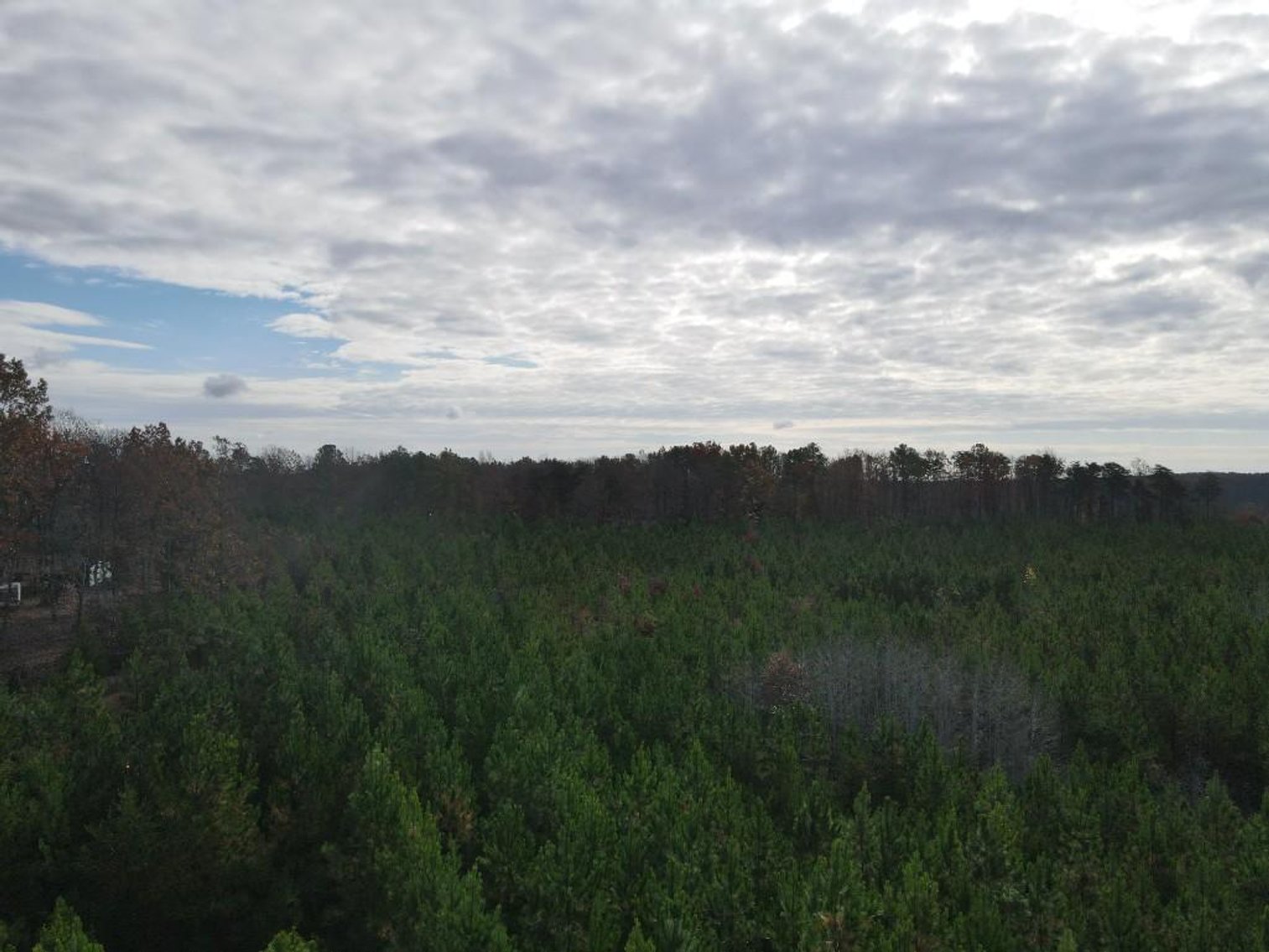 Image for DOUBLEWIDE ON 32 +/- ACRES BUCKINGHAM