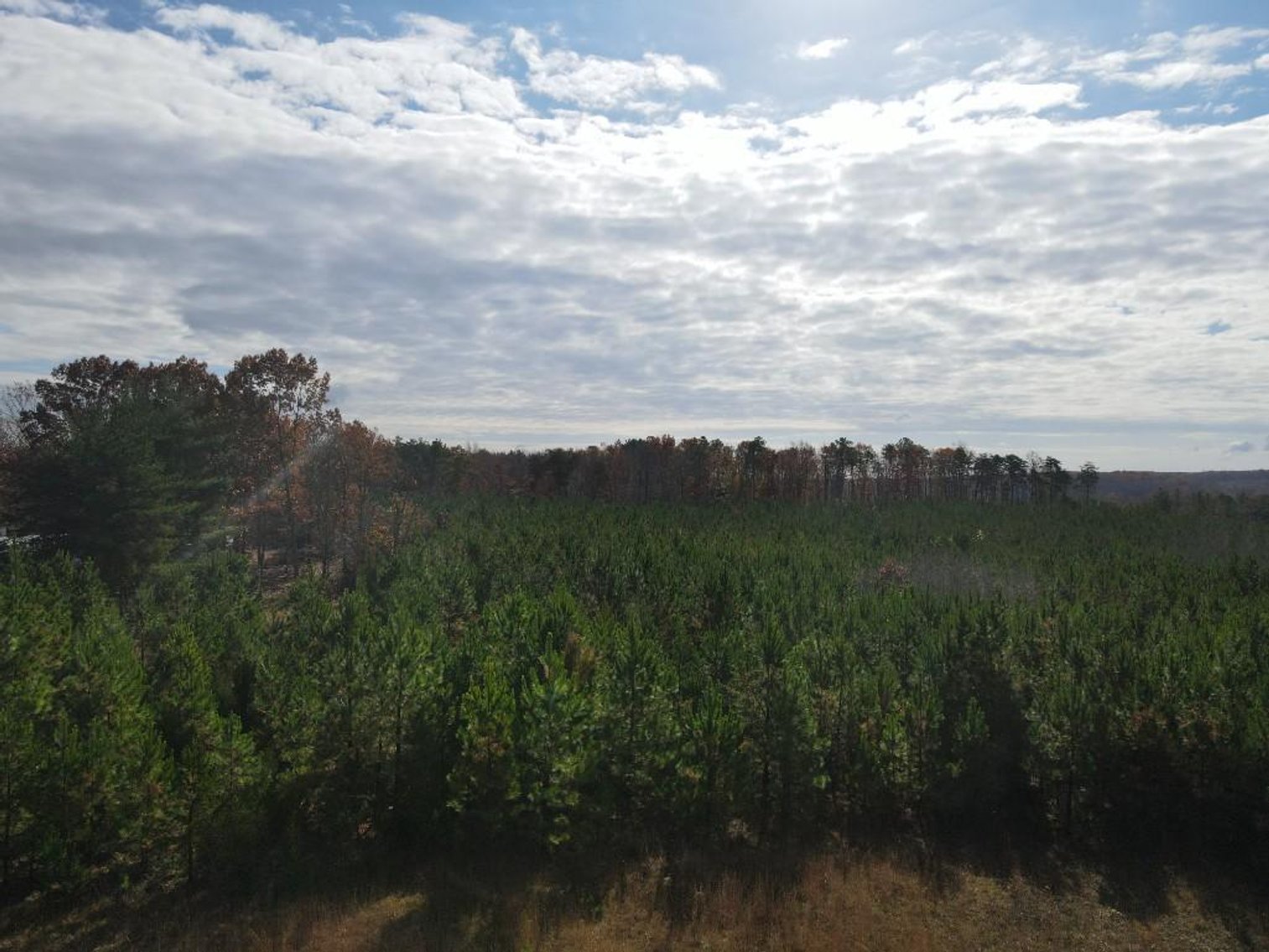 Image for DOUBLEWIDE ON 32 +/- ACRES BUCKINGHAM