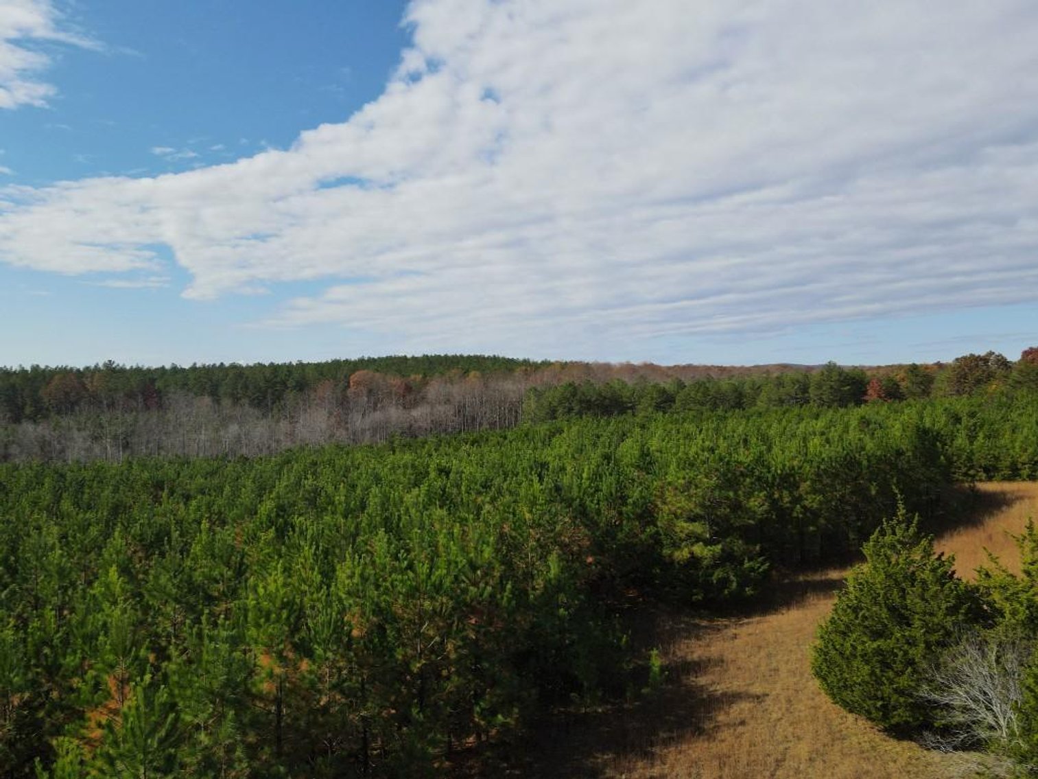 Image for DOUBLEWIDE ON 32 +/- ACRES BUCKINGHAM