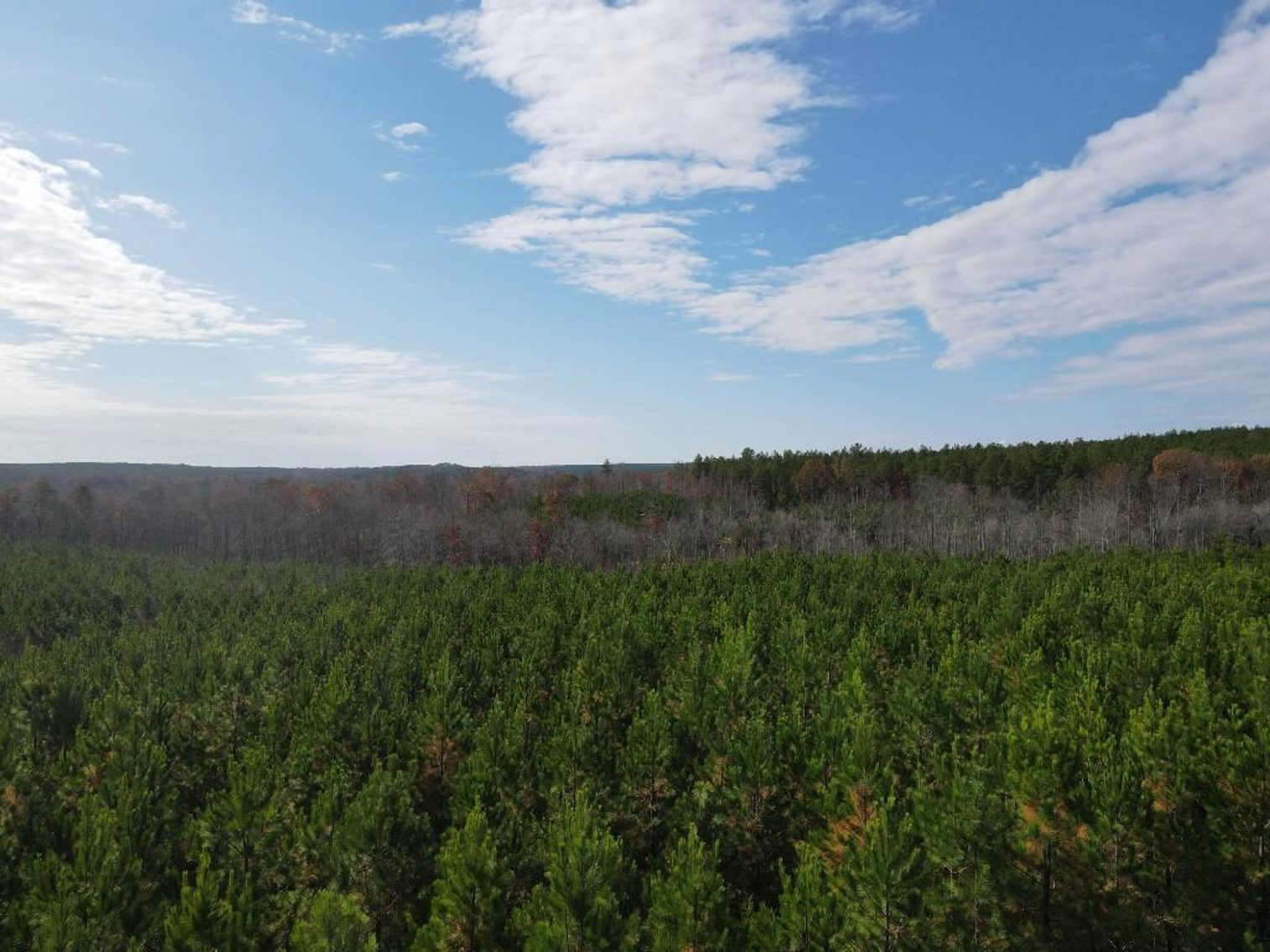 Image for DOUBLEWIDE ON 32 +/- ACRES BUCKINGHAM