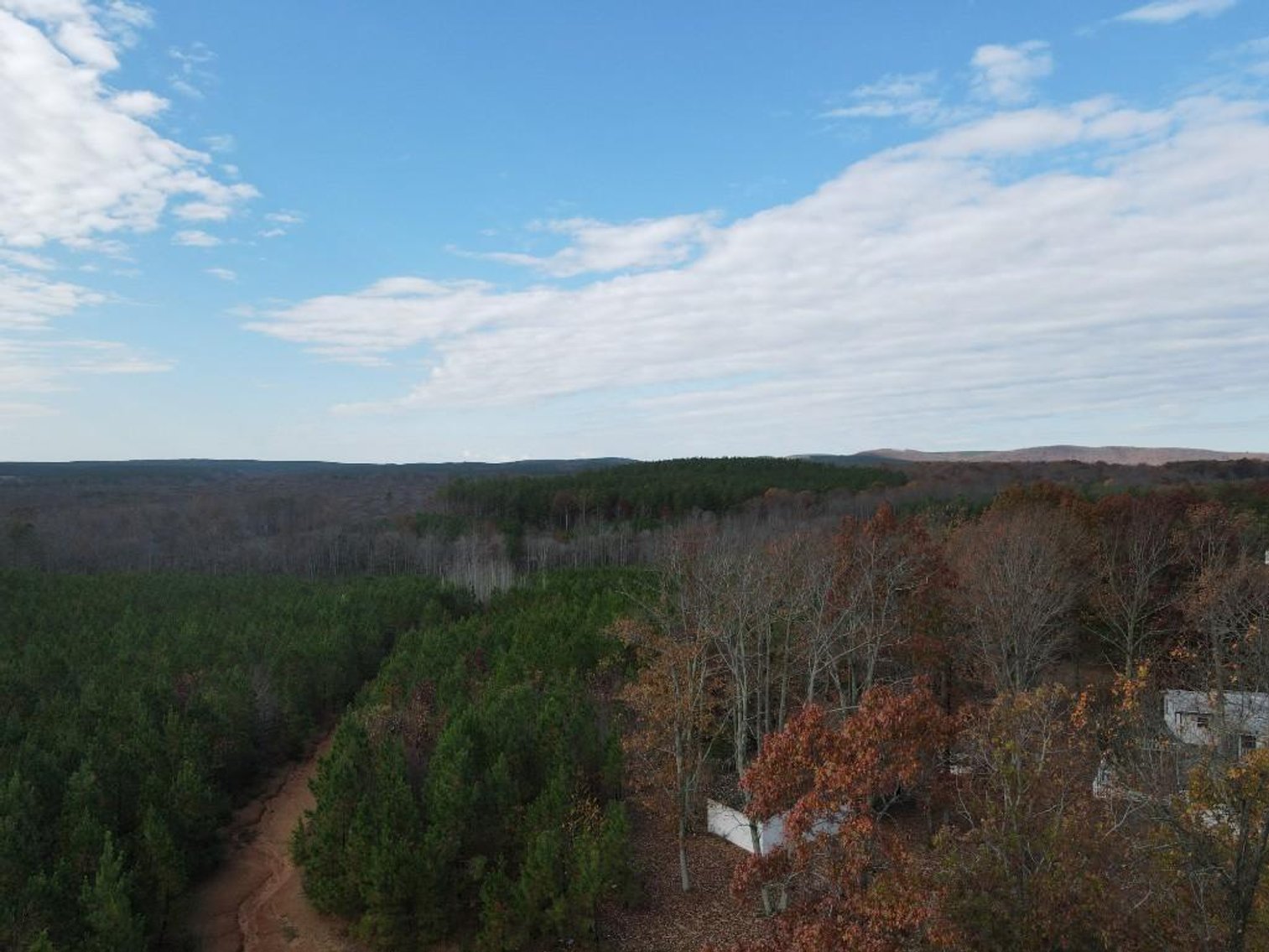 Image for DOUBLEWIDE ON 32 +/- ACRES BUCKINGHAM