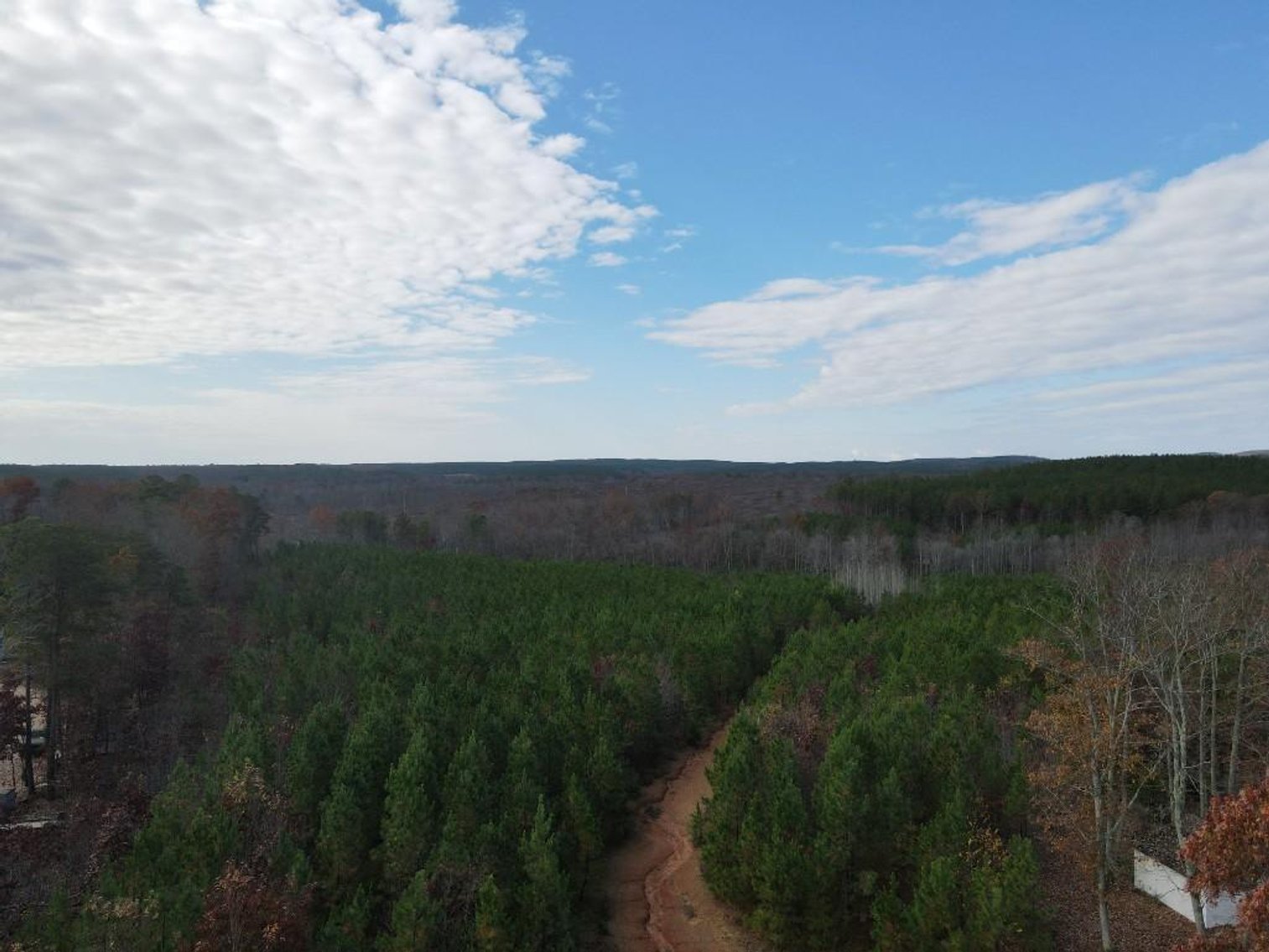 Image for DOUBLEWIDE ON 32 +/- ACRES BUCKINGHAM