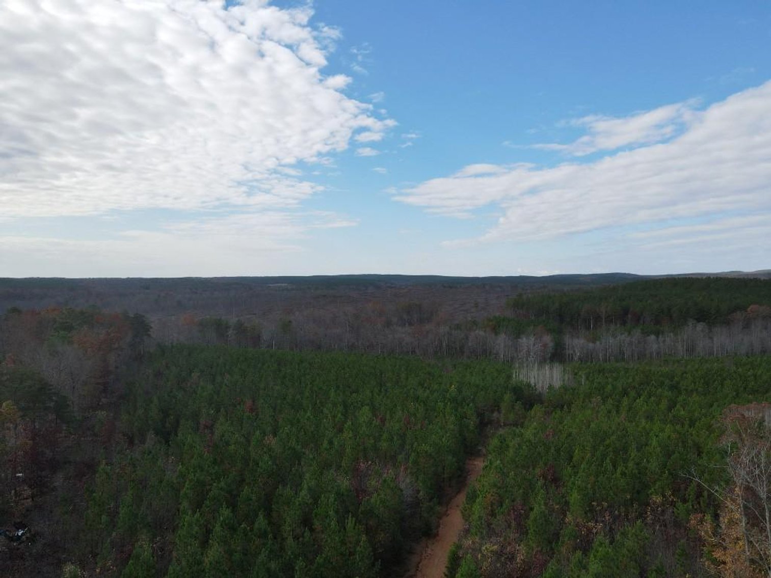 Image for DOUBLEWIDE ON 32 +/- ACRES BUCKINGHAM