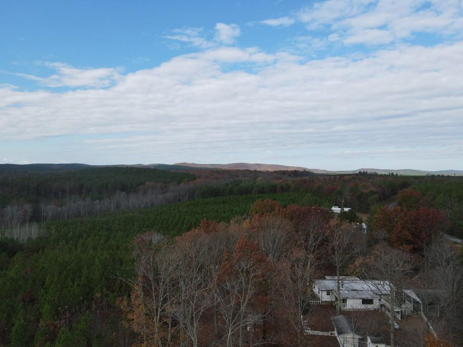 Image for DOUBLEWIDE ON 32 +/- ACRES BUCKINGHAM