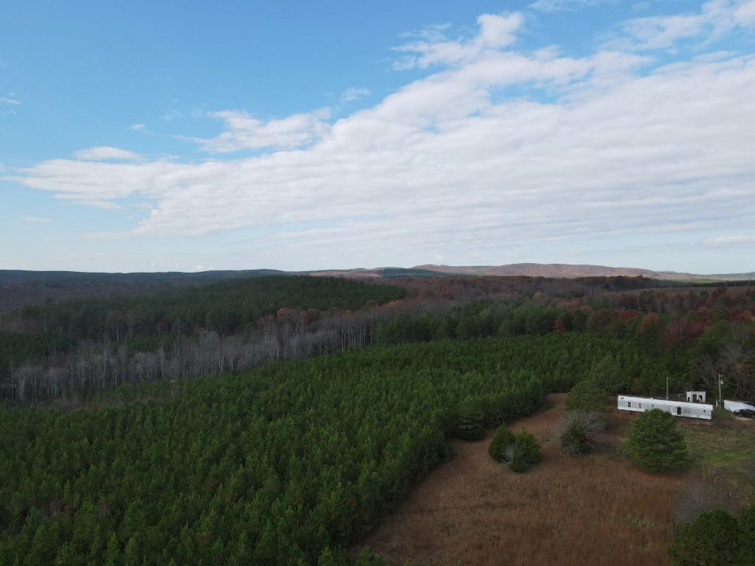 Image for DOUBLEWIDE ON 32 +/- ACRES BUCKINGHAM