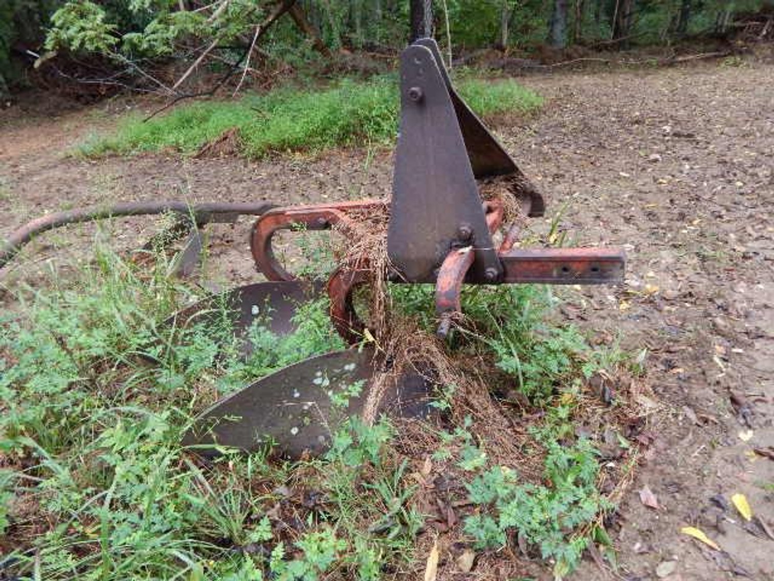 Image for Amherst Estate Auction