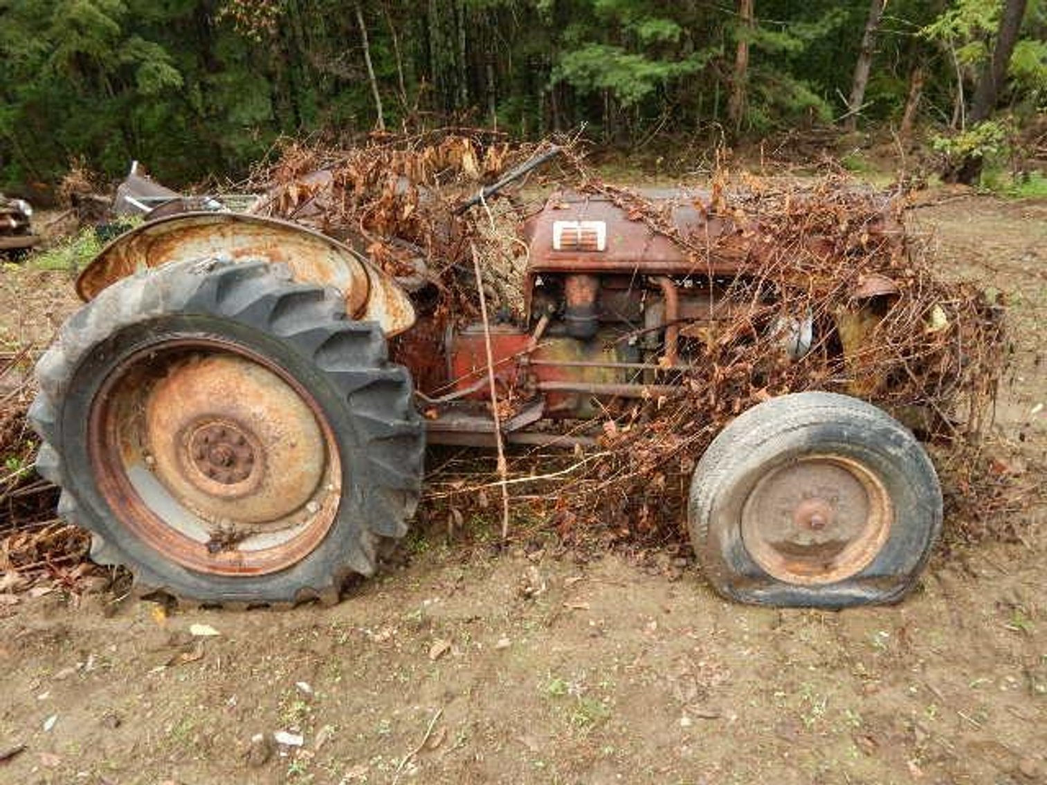 Image for Amherst Estate Auction