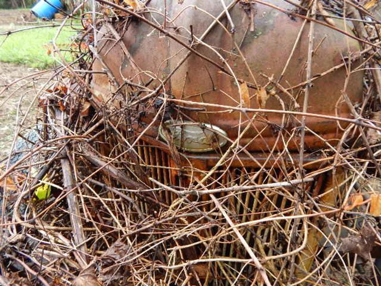 Image for Amherst Estate Auction