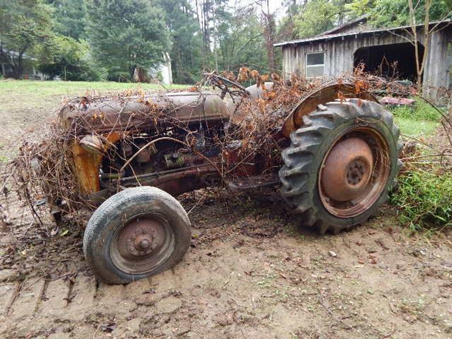 Image for Amherst Estate Auction