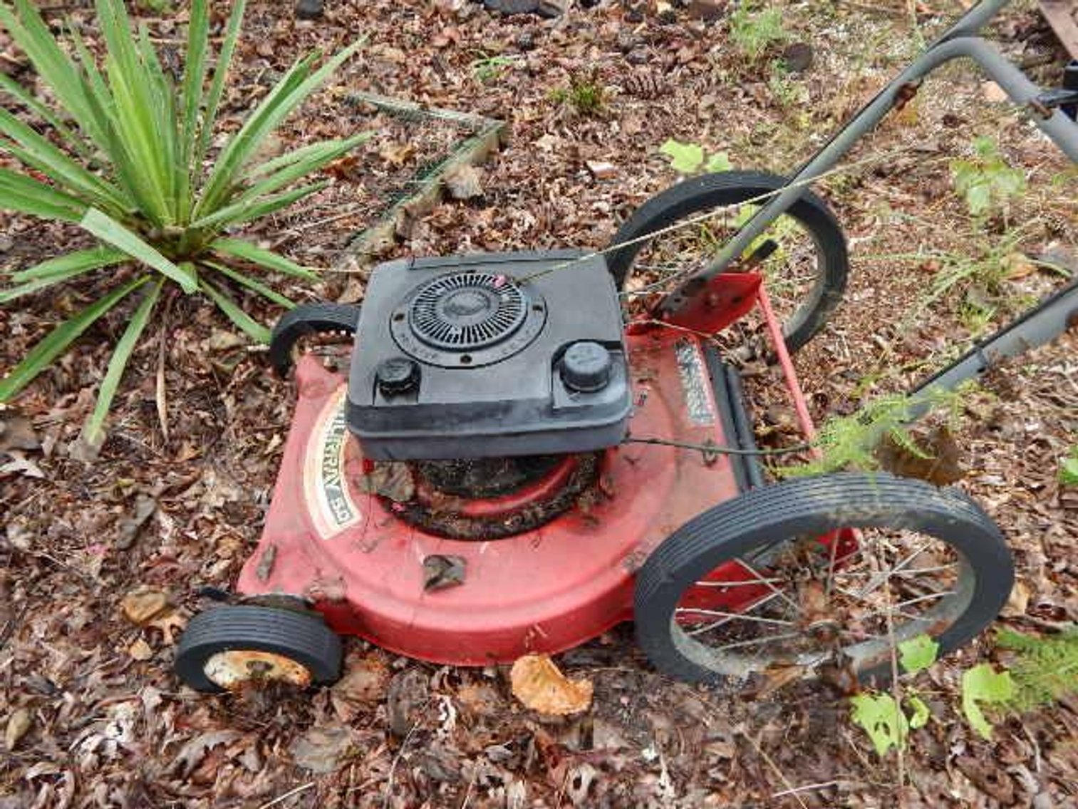 Image for Amherst Estate Auction