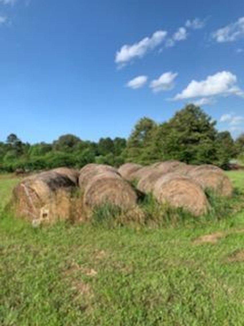 Image for Farm Retirement Auction