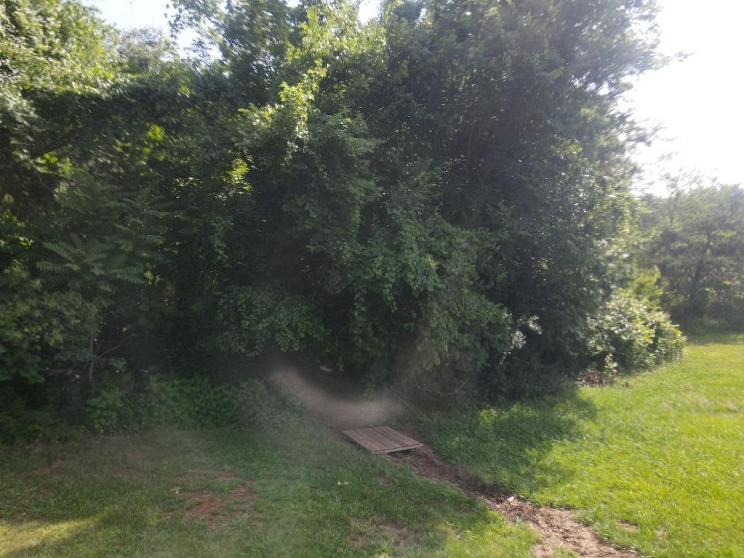 Image for 8.93 Country Acres with 1,372 sqft 3 Bed 2 Bath Home Pittsville Va