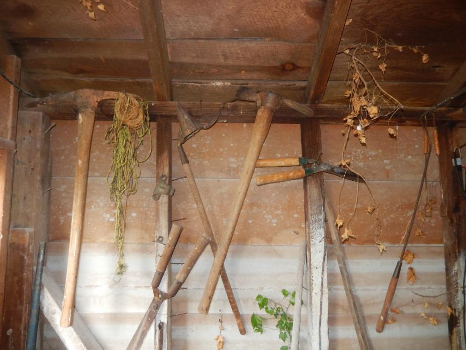 Image for Glenn & Evelyn Bertness Estate Auction