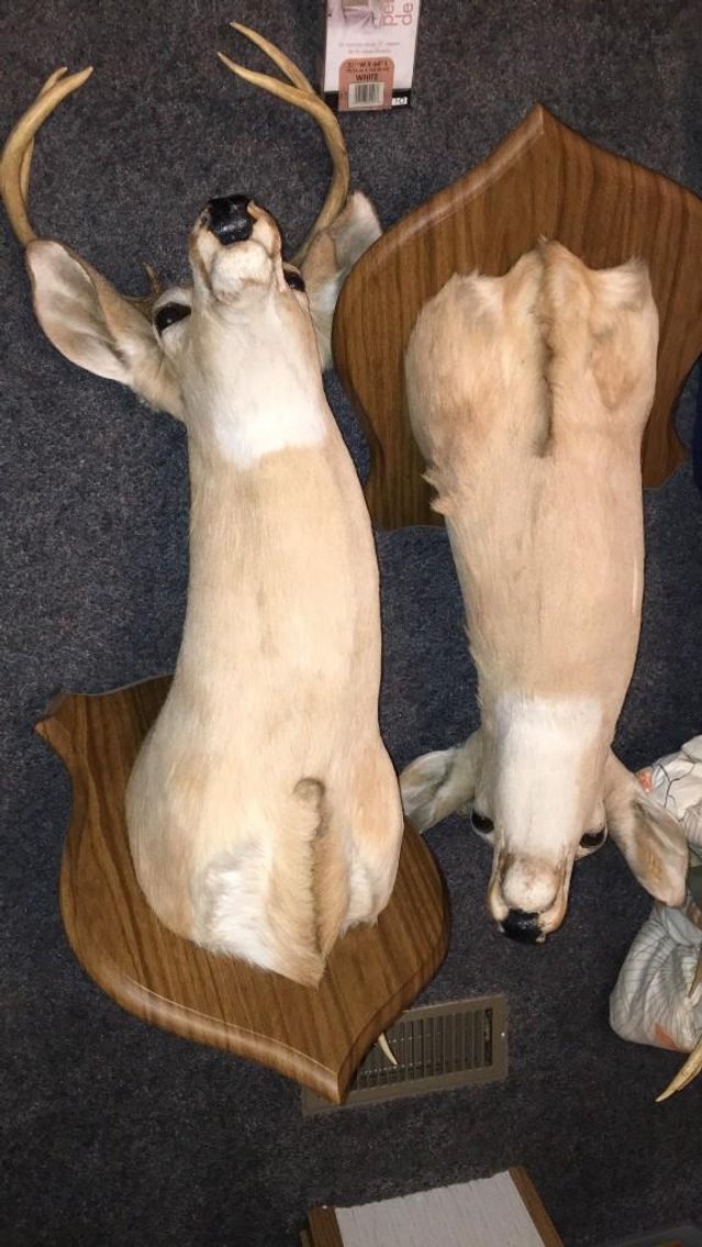 Image for Evington Estate Auction