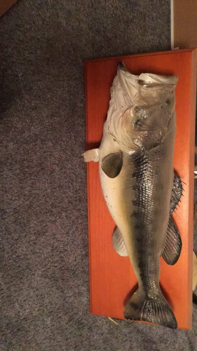 Image for Evington Estate Auction