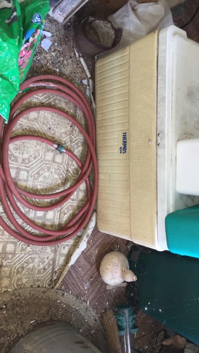 Image for Evington Estate Auction