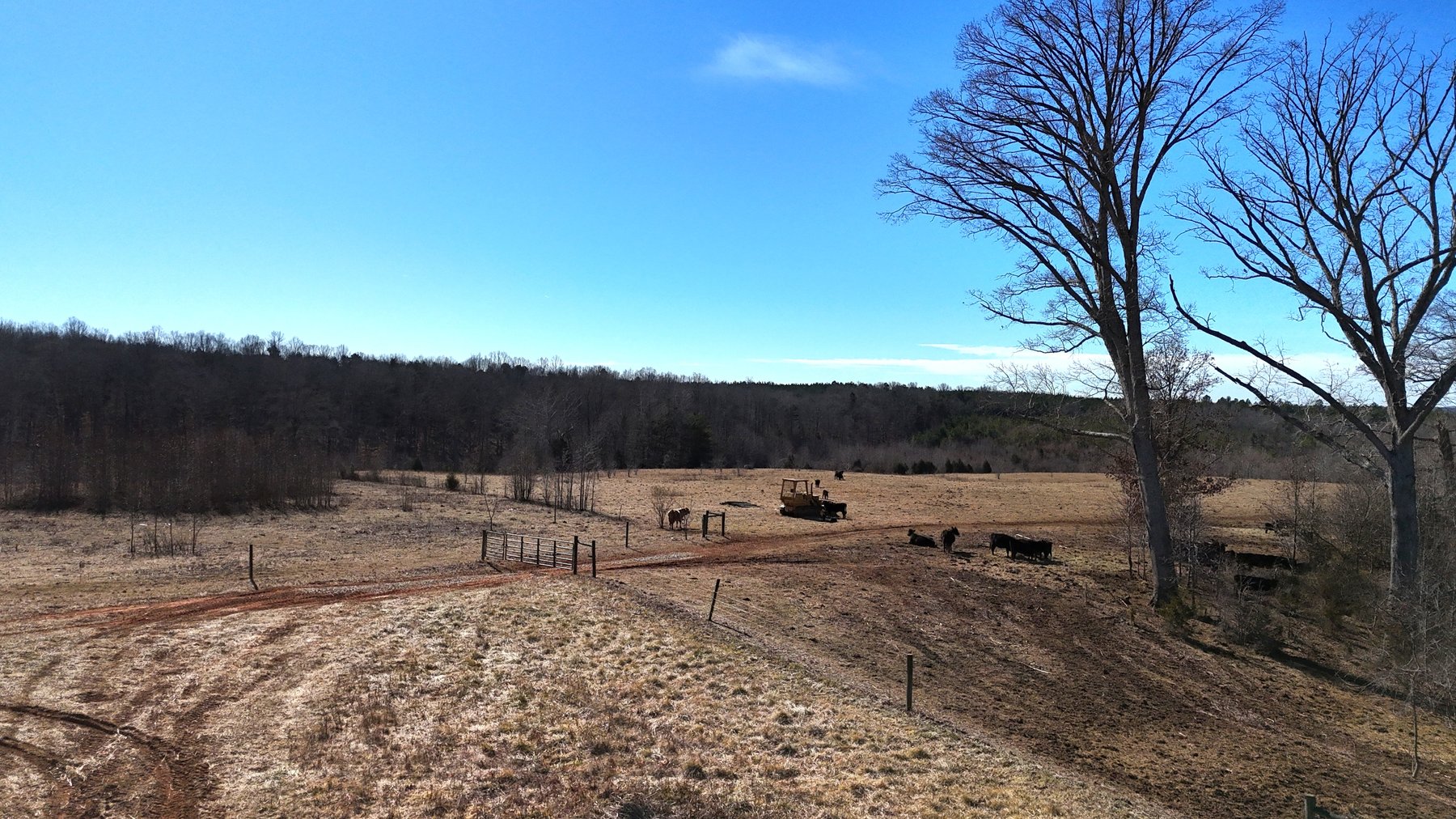 Image for 1081 Lennig Road, Nathalie, VA 24577