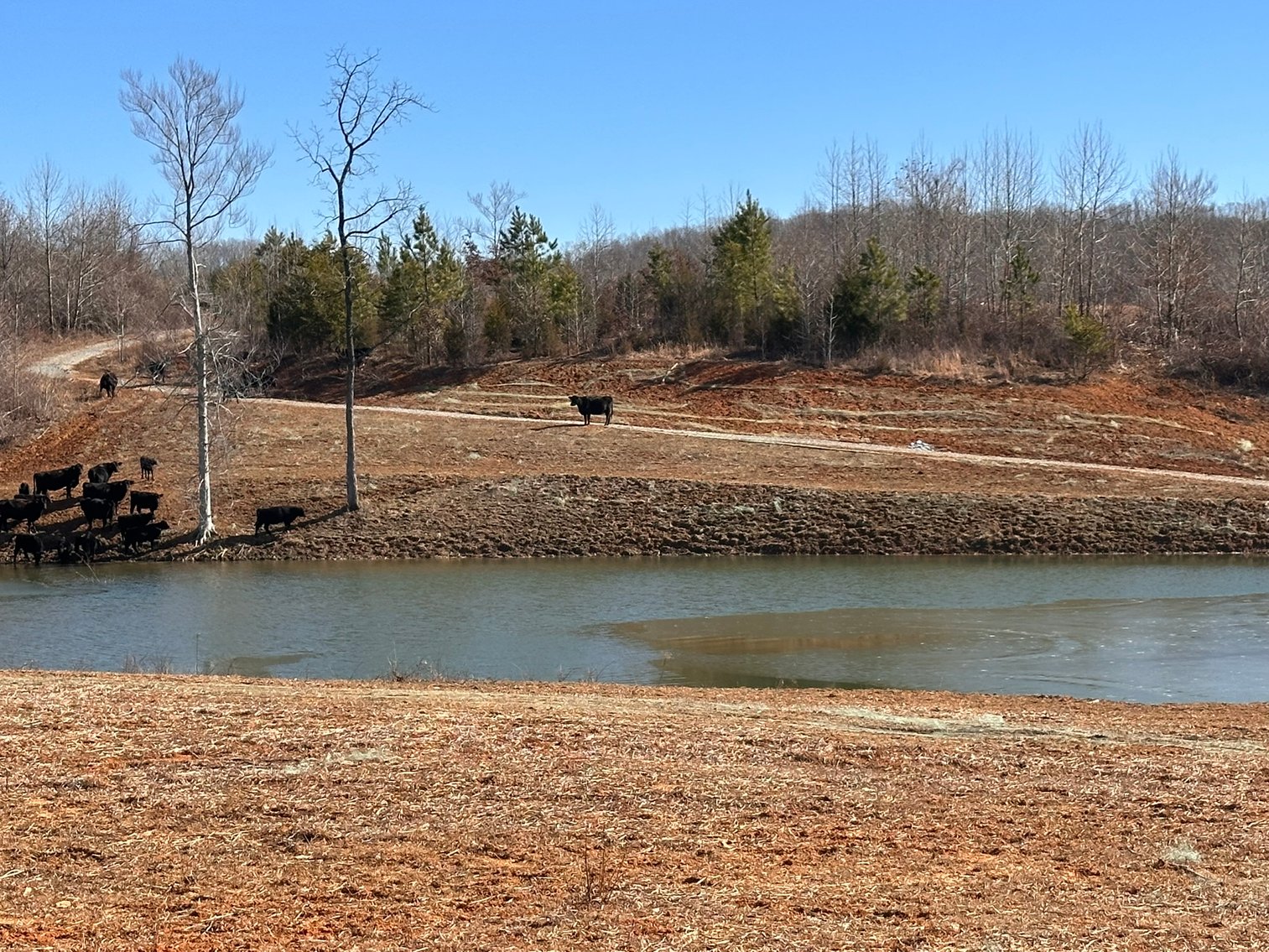 Image for 1081 Lennig Road, Nathalie, VA 24577