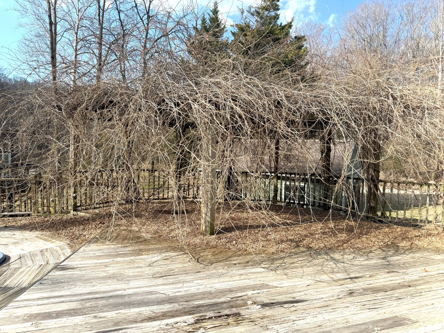 Image for 3912 Faculty Dr, Lynchburg, VA 24501