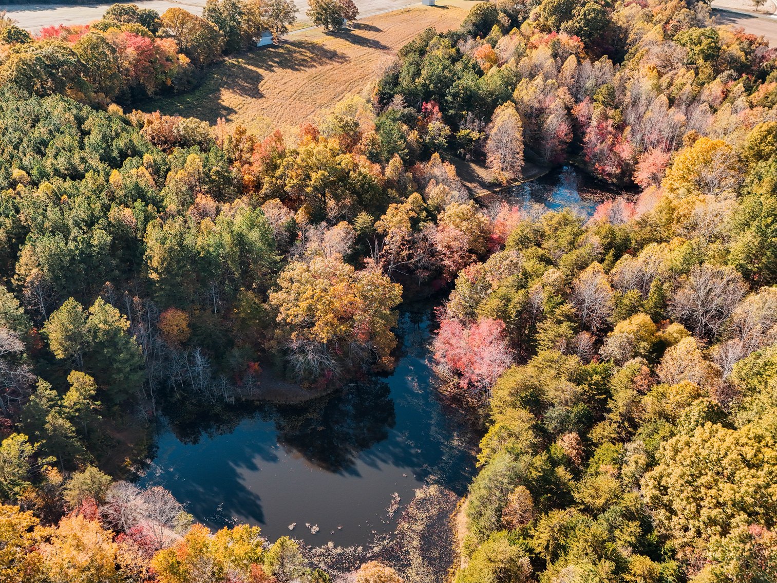 Image for 7941 Sugar Hill Rd, Brookneal, VA 24528