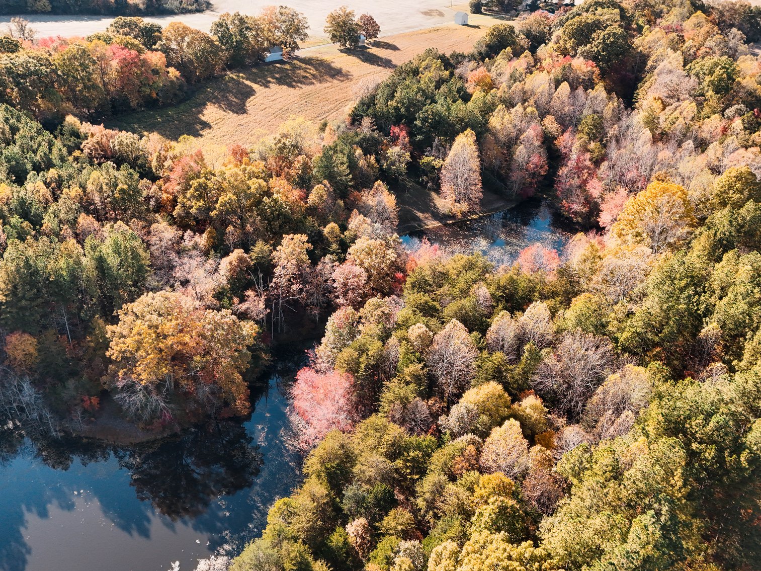 Image for 7941 Sugar Hill Rd, Brookneal, VA 24528