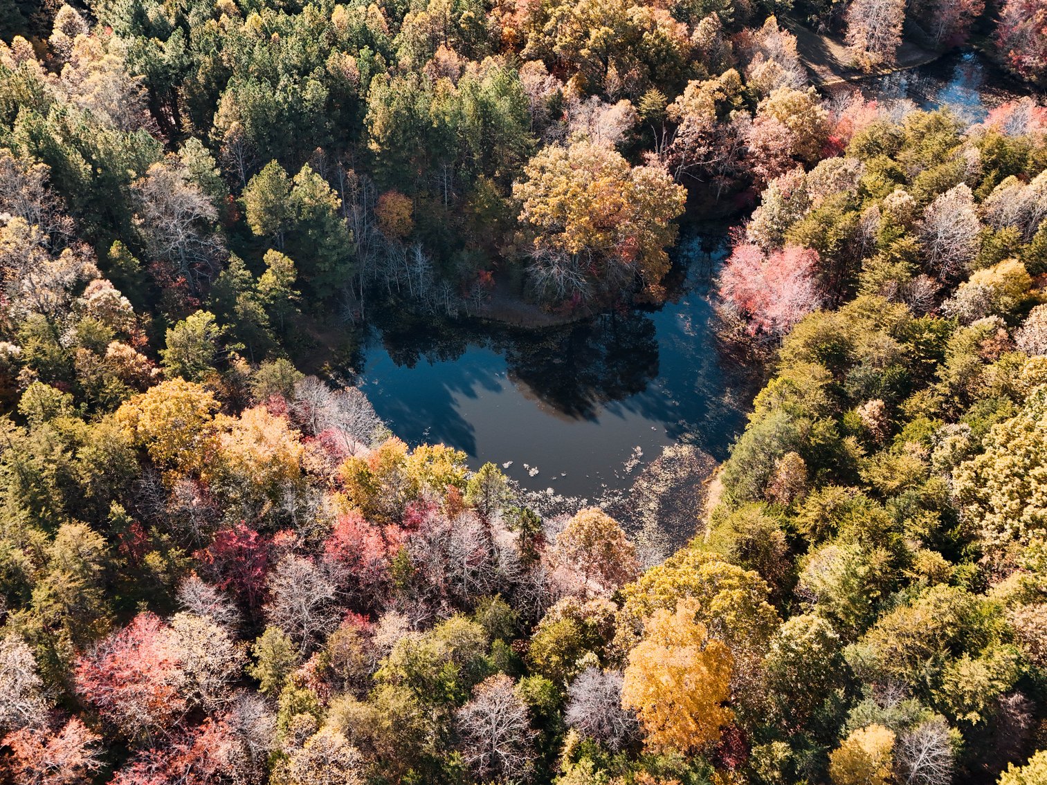 Image for 7941 Sugar Hill Rd, Brookneal, VA 24528