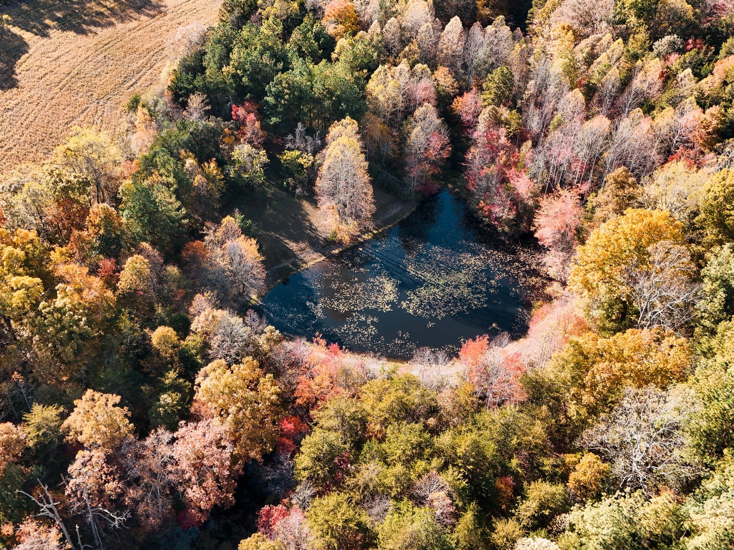 Image for 7941 Sugar Hill Rd, Brookneal, VA 24528