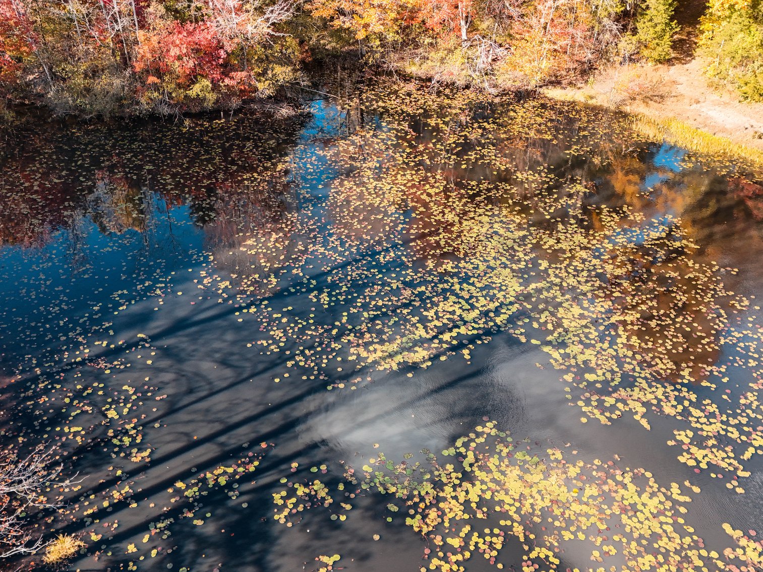 Image for 7941 Sugar Hill Rd, Brookneal, VA 24528