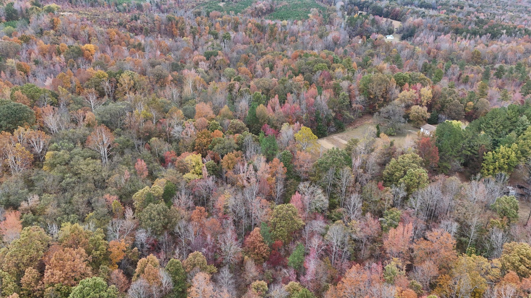 Image for 1091 Acorn Rd, Nathalie, VA 24577