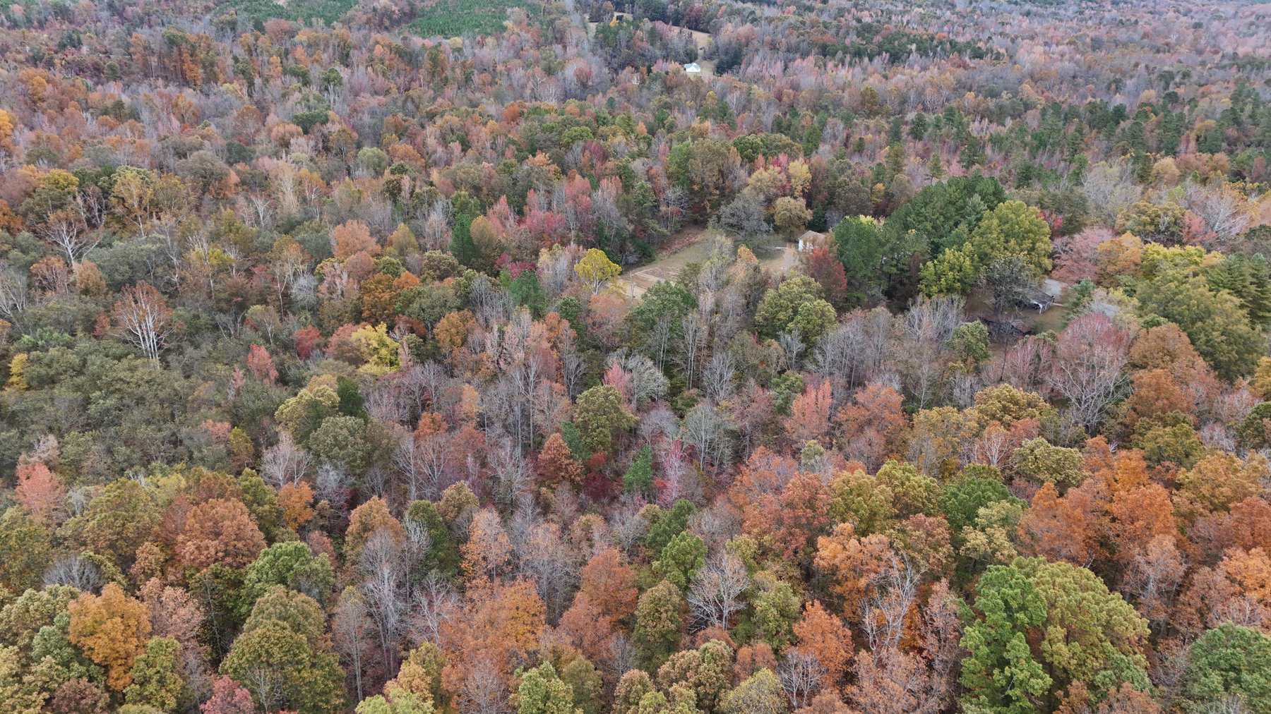 Image for 1091 Acorn Rd, Nathalie, VA 24577