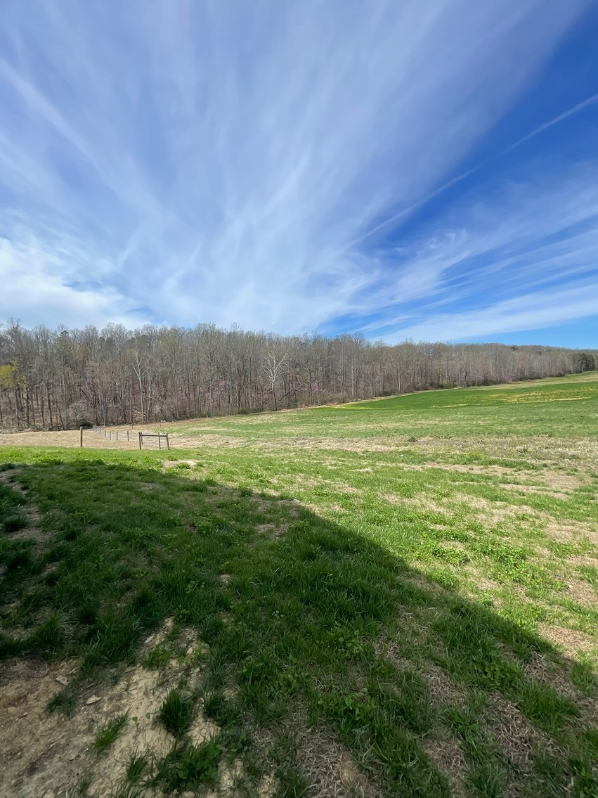 Image for 423 +/- Ac in Charlotte County, VA