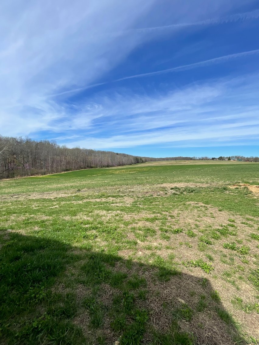 Image for 423 +/- Ac in Charlotte County, VA