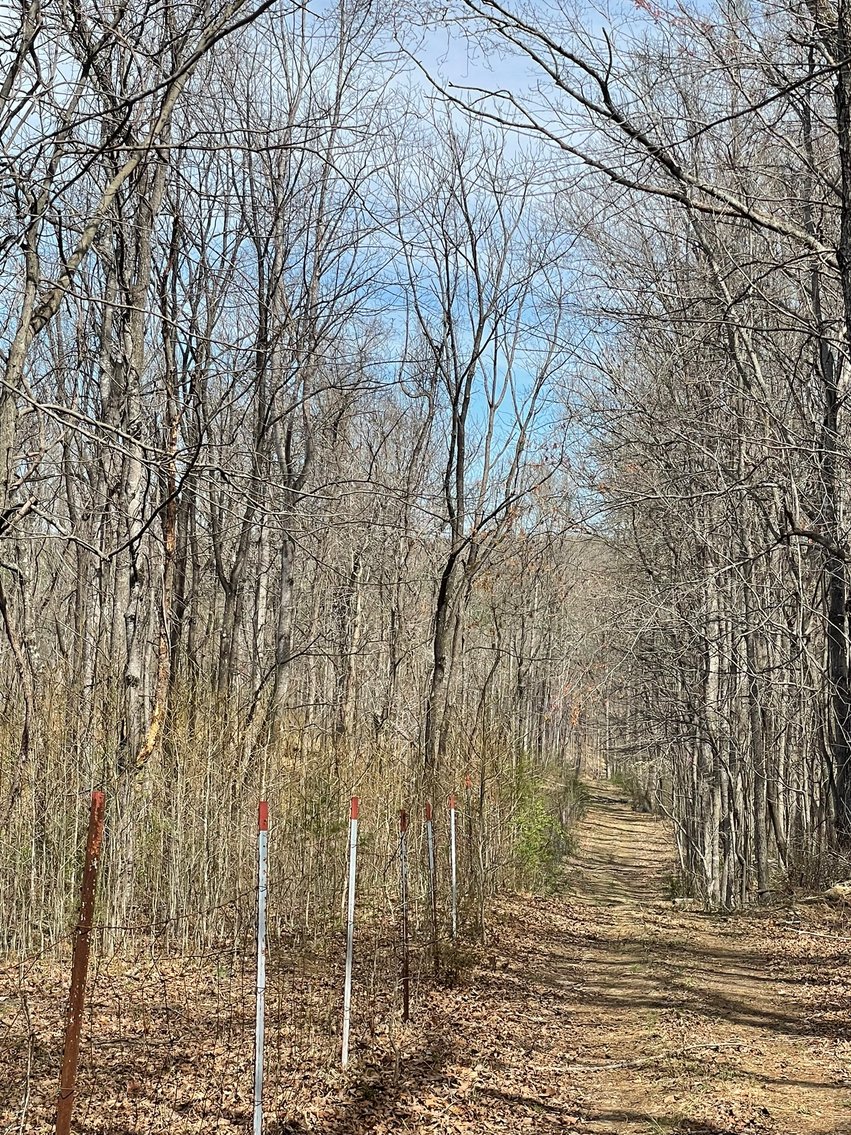 Image for 423 +/- Ac in Charlotte County, VA