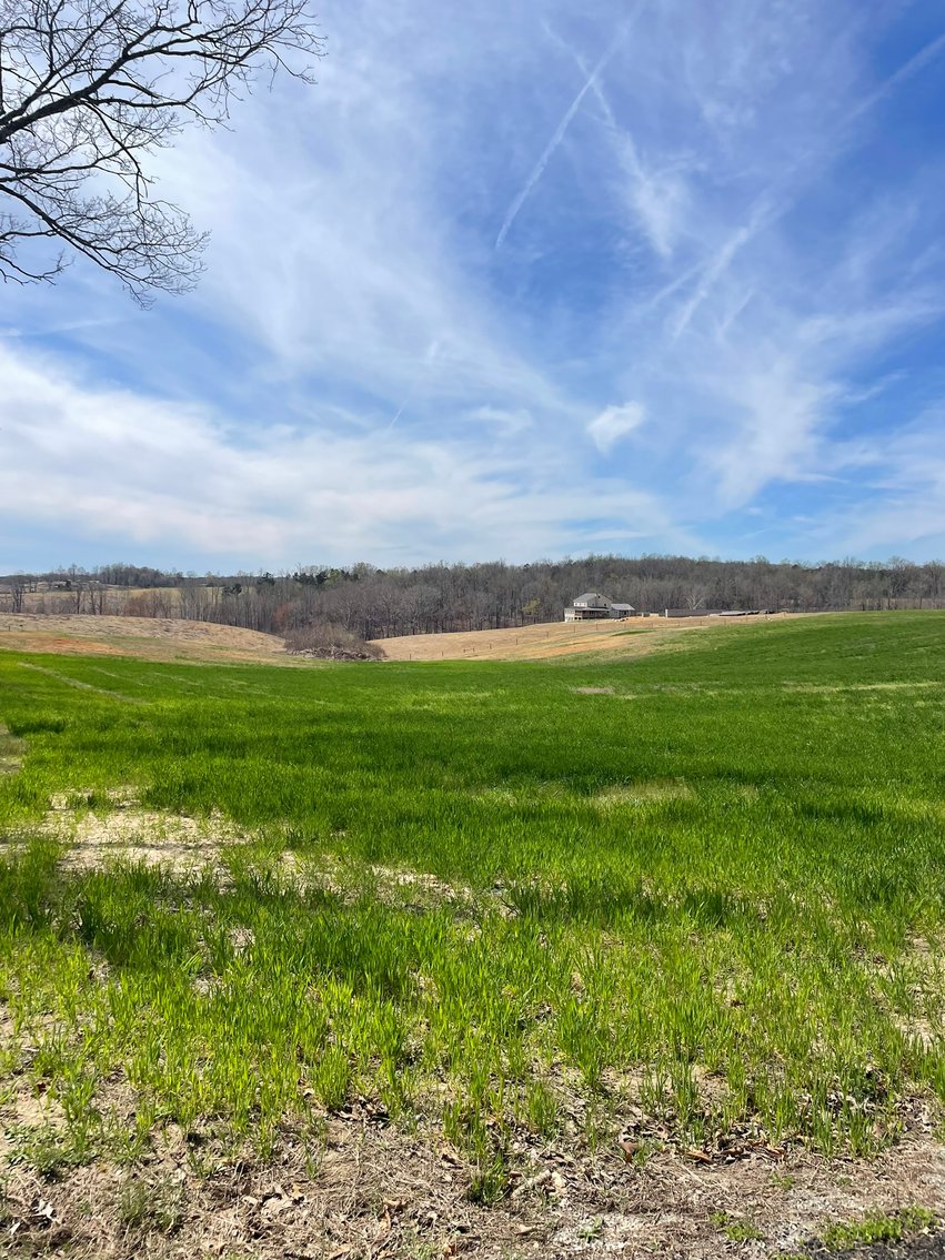 Image for 423 +/- Ac in Charlotte County, VA